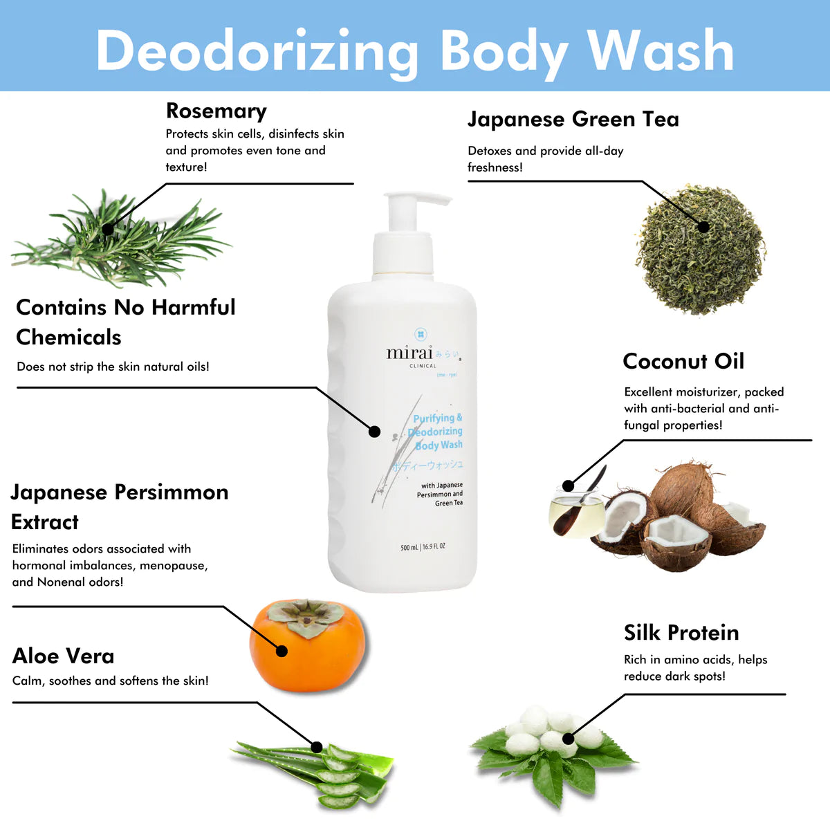 Purifying & Deodorizing Concentrated Body Wash for Wrap